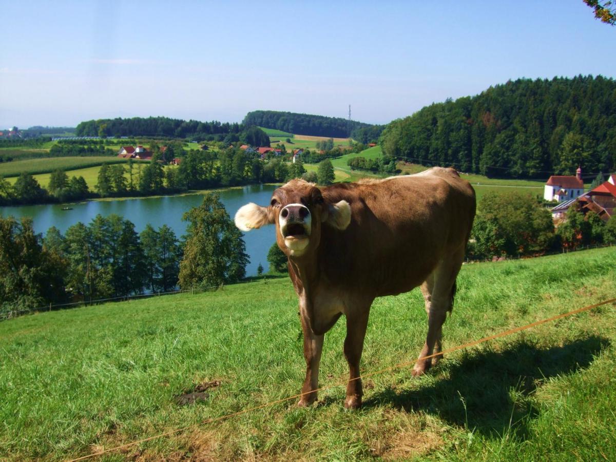 Heimatliebe